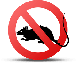 Дератизация от крыс Москва